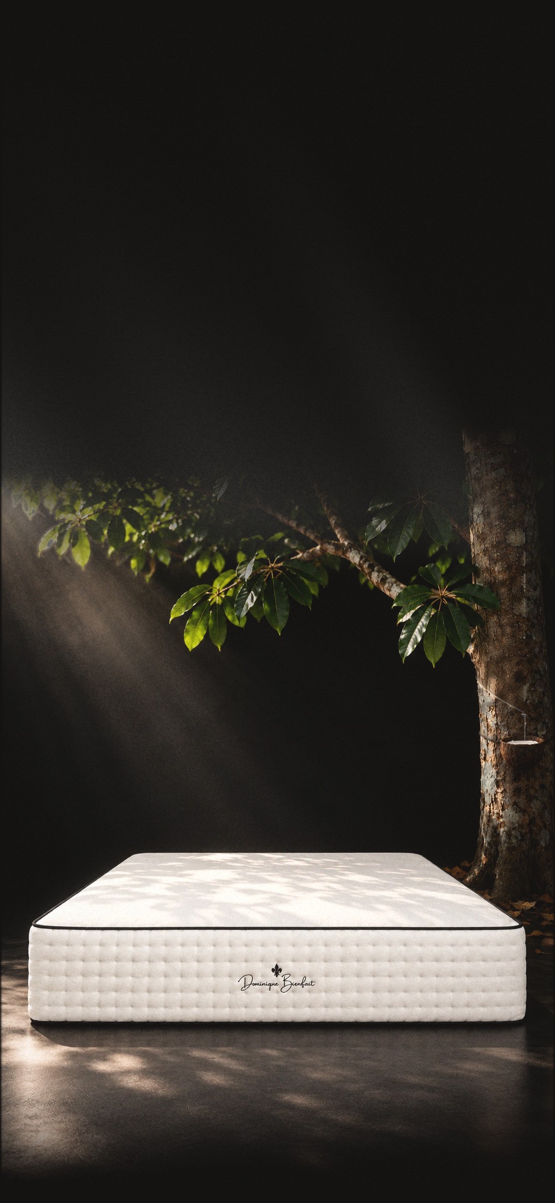 Today’s white quilted mattress with black piping under a rubber tree in a dark studio, a tapping cut and cup of latex on its trunk.